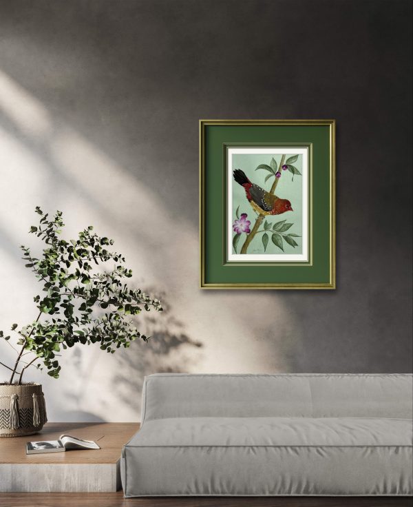 Strawberry Finch (Print) - Image 4