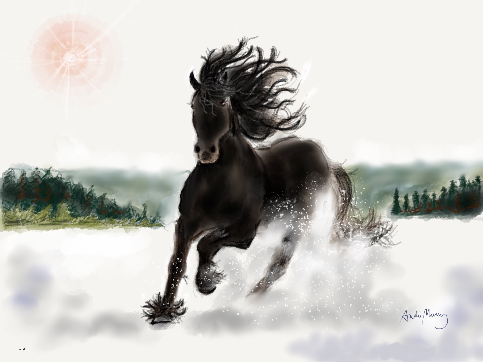 Alastor Arabian Stallion (Print) (A3) (Sale)