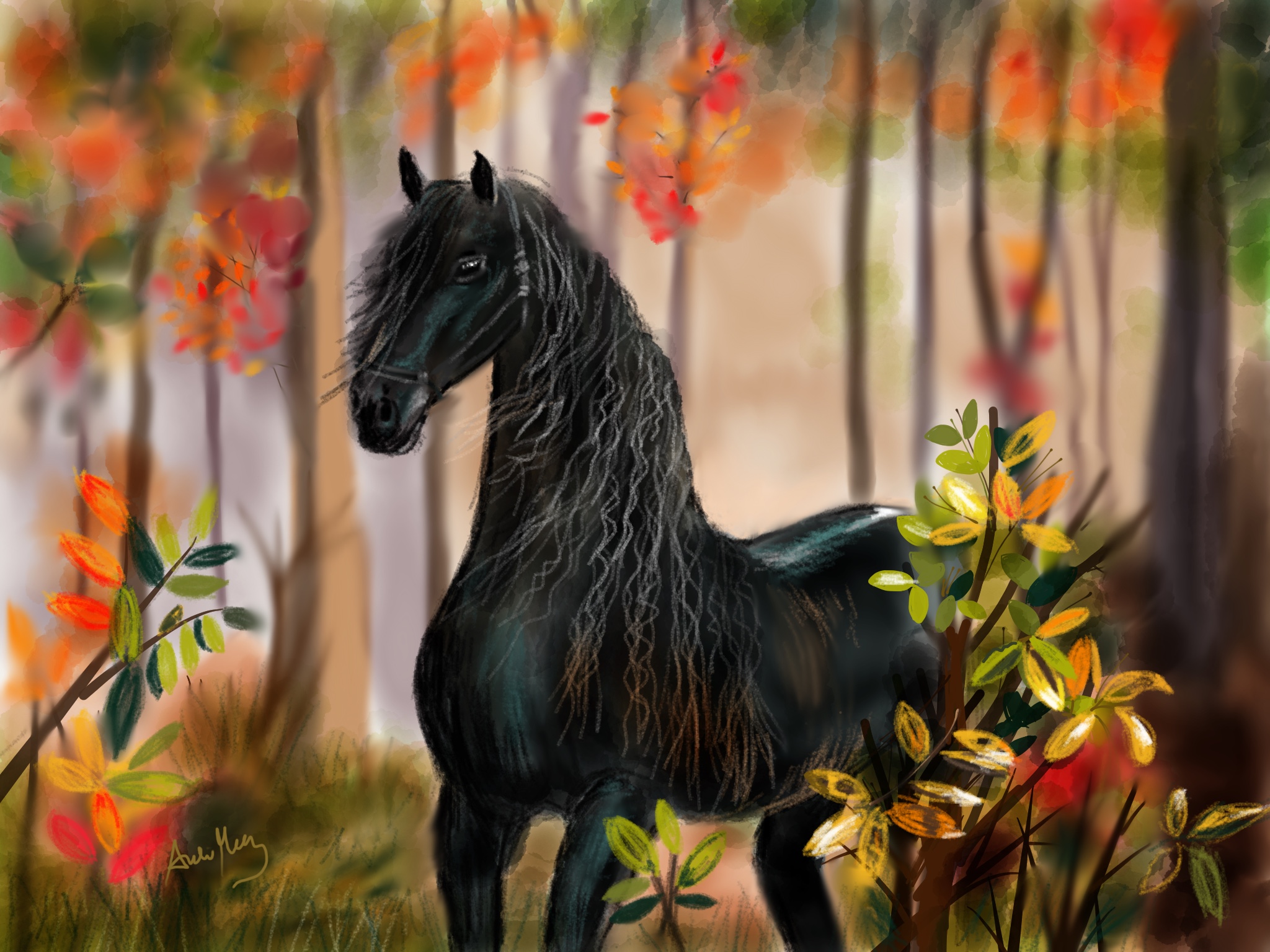 Apache (Print) (A5) (Free plus £3.95 shipping and handling)