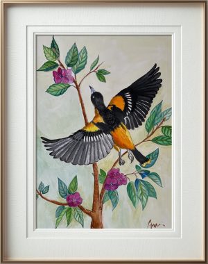 Baltimore Oriole (Print)