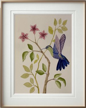 Blue Hummingbird (Print)