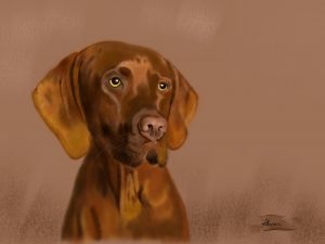Hungarian Vizsla (Print)