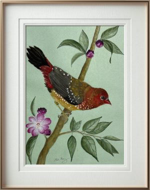 Strawberry Finch (Print)