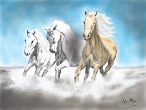 Three Horses (Print) (A3) (Sale)