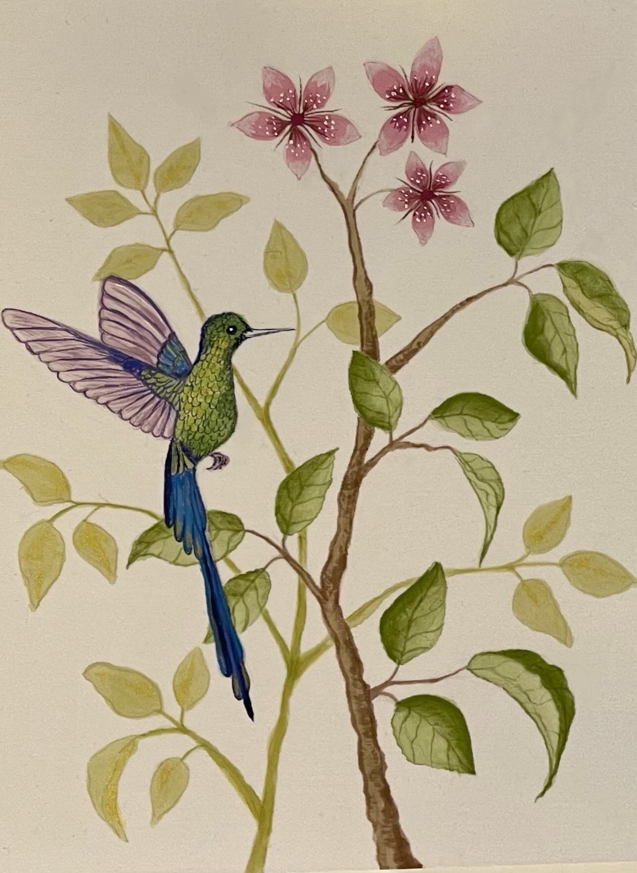 Jade Hummingbird (A5) (Free plus £3.95 hipping and handling) - Image 2